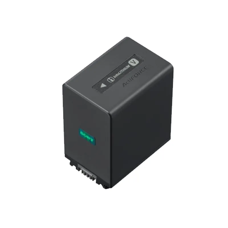 Sony - NP-FV100A2 Begrenztes Angebot