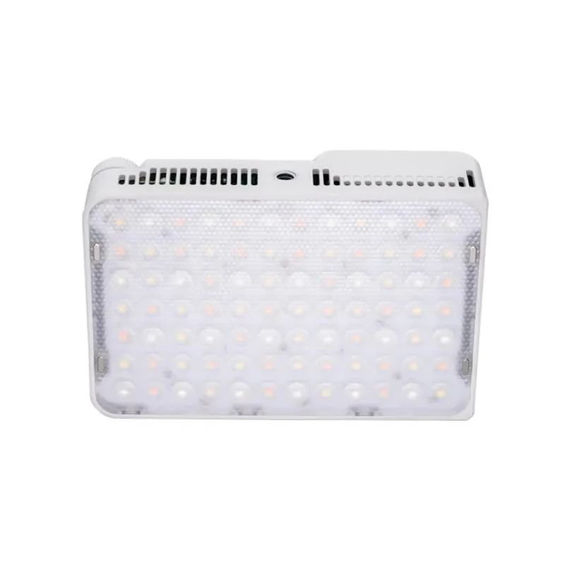 Amaran - Ace 25c White Knallerangebot