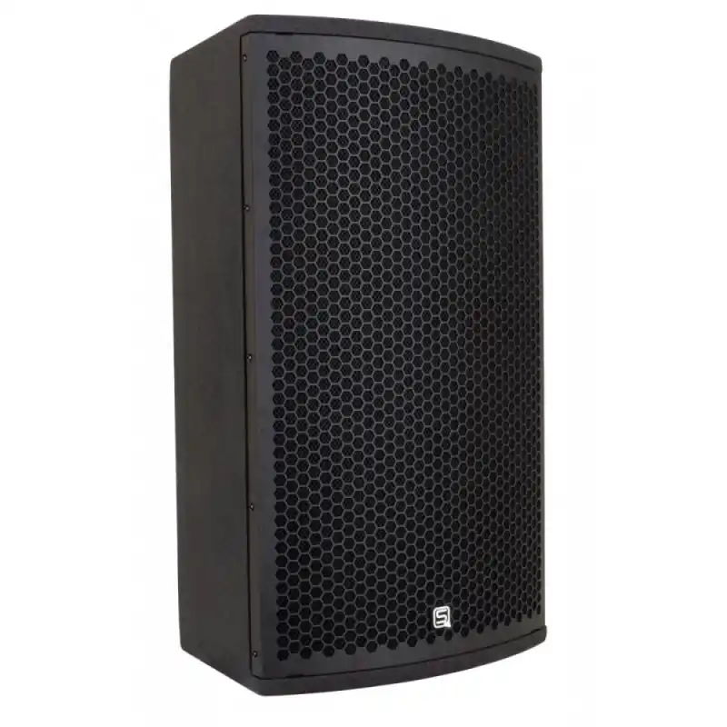 Knallerangebot SYNQ Audio SA-12