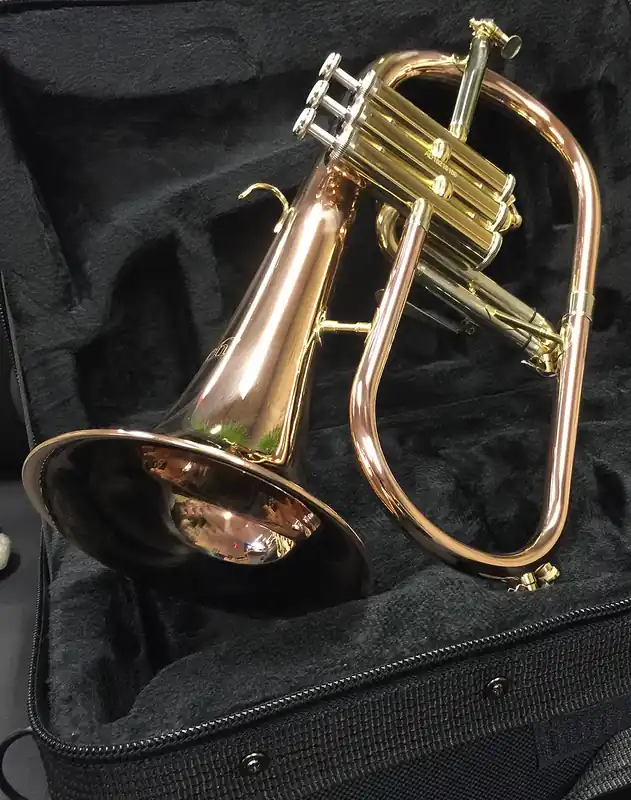 Bestseller VINCENT BACH FH-501 Bb-Flugelhörn inkl. Etui, lackiert