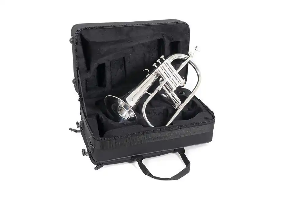 ROY BENSON FH-302S Bb-Flügelhorn inkl. Etui, versilbert Kostenfreie Lieferung