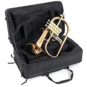 ROY BENSON FH-302G Bb-Flügelhorn inkl. Etui, goldmessing Must-Have