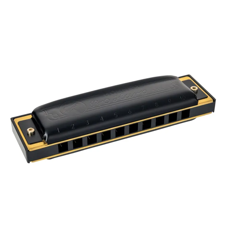 Solange Der Vorrat Reicht HOHNER Pro Harp MS 20 Stimmen Eb-Dur Diatonische Mundharmonika