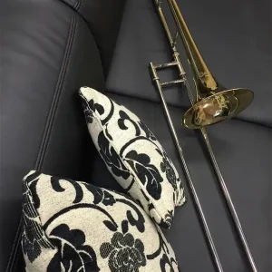 BACH TB502 Bb-Tenorposaune inkl. Etui, versilbert Heißes Angebot