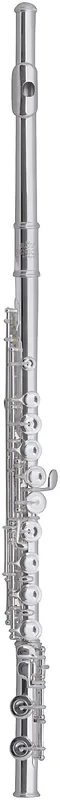 Nur Heute ROY BENSON FL-602 E Querflöte inkl. Etui, versilbert