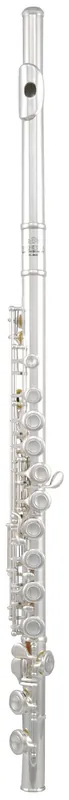 ROY BENSON FL-402 E Konzert Querflöte inkl. Etui, versilbert Beliebt