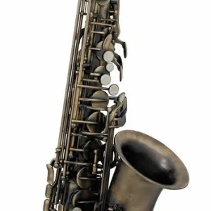 ROY BENSON AS-202 A Eb-Alt Saxophon inkl. Etui, antik lackiert Jetzt Kaufen