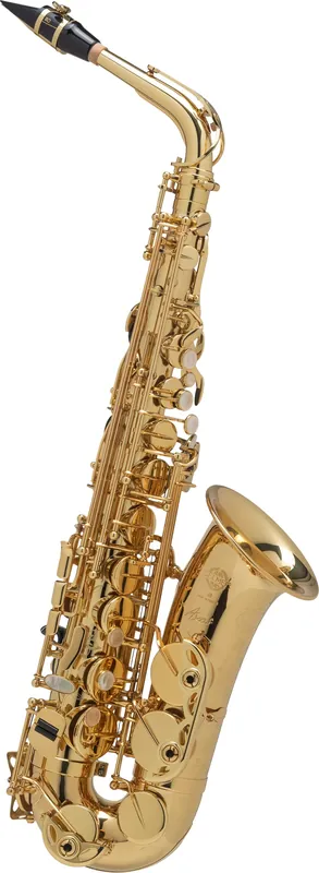 SELMER AAXLSET Axos Eb-Alt Saxophon inkl. Koffer, Goldlack B-Ware Wochenendangebot