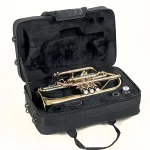 ROY BENSON CR-302 Bb-Kornett inkl. Rechtecketui (RB701.093) Bestpreis