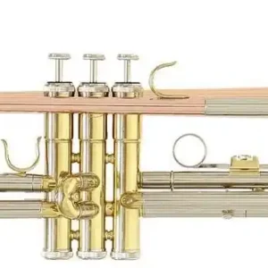 ROY BENSON TR-202 L Bb-Trompete mit Leichtetui, lackiert Sichere Zahlung