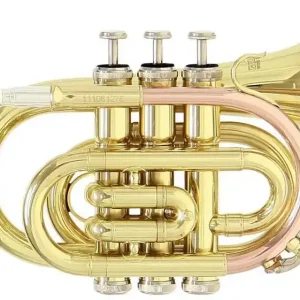 ROY BENSON PT-101 Bb-Taschentrompete inkl. Etui, lackiert Heißes Angebot
