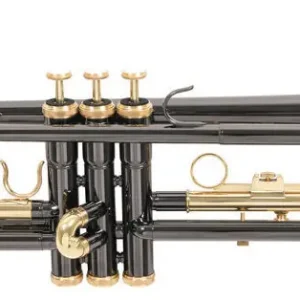 ROY BENSON TR-101K Bb-Trompete mit Leichtetui, anthrazit lackiert Expressversand