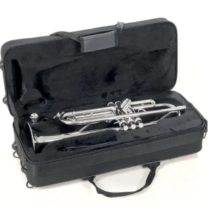 Jetzt Kaufen ROY BENSON TR-202 S Bb-Trompete mit Leichtetui, versilbert