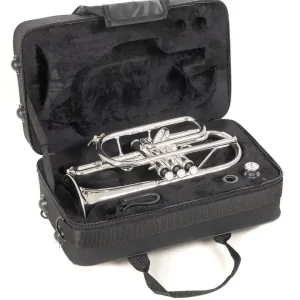 Preisknaller ROY BENSON CR-202S Bb-Kornett inkl. Rechtecketui (RB701.092)