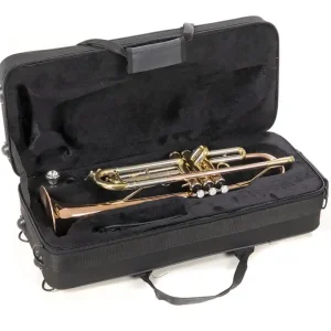 ROY BENSON TR-202 G Bb-Trompete mit Leichtetui, goldmessing Echt