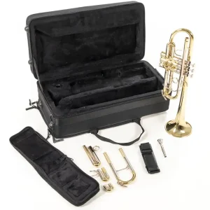 ROY BENSON TR-402C Bb-Trompete mit Leichtetui, goldmessing Sonderaktion