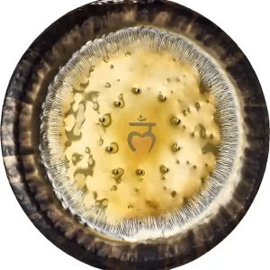Bestseller MEINL G24RC1 Sonic Energy Root Chakra Gong 24Zoll/60cm 194,18Hz/G2