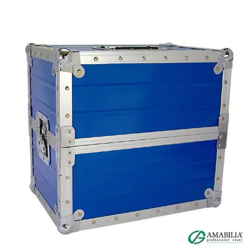 Echt Amabilia Recordcase P80 Special double