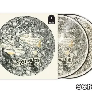 Kostenloser Versand Rane Serato Pressing Dan Tippett Control Vinyl picture Disk (2 Stück)