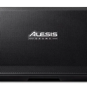 Must-Have Alesis Strike Amp 12