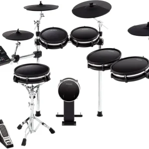 Alesis DM10 MKII Pro Kit Abverkauf