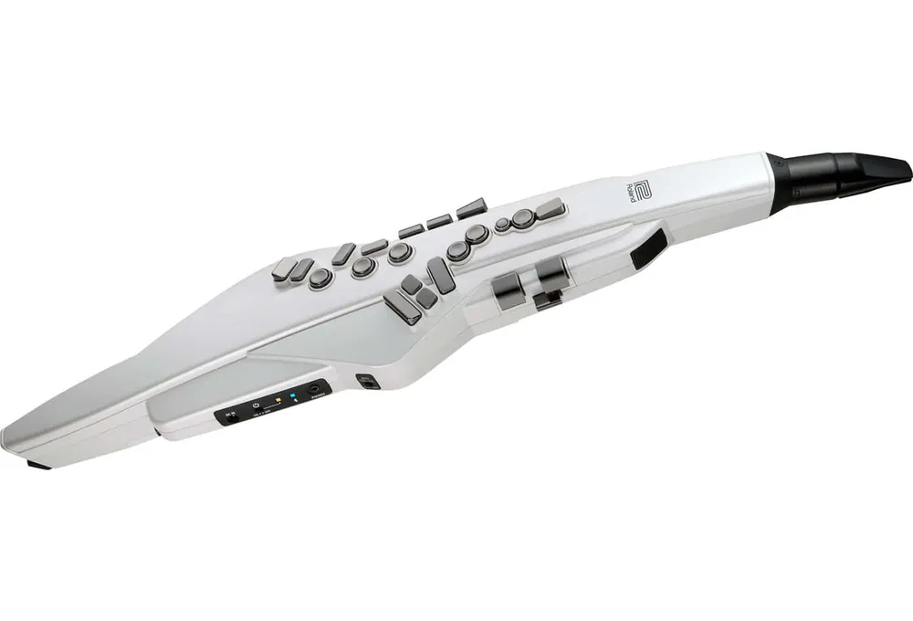 Roland AE-20W Must-Have