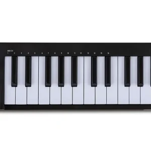 Arturia MicroLab Mk3 Günstig