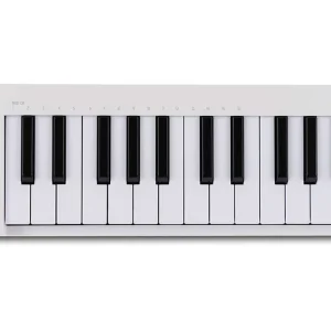 Top-Seller Arturia MicroLab Mk3