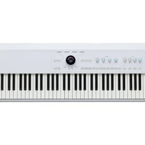 Arturia Astrolab 88 Kostenloser Versand