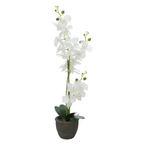 EUROPALMS Orchidee, Kunstpflanze, weiß, 80cm Direktkauf
