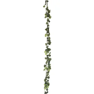 EUROPALMS Pothosgirlande Classic, künstlich, 180cm Begrenztes Angebot