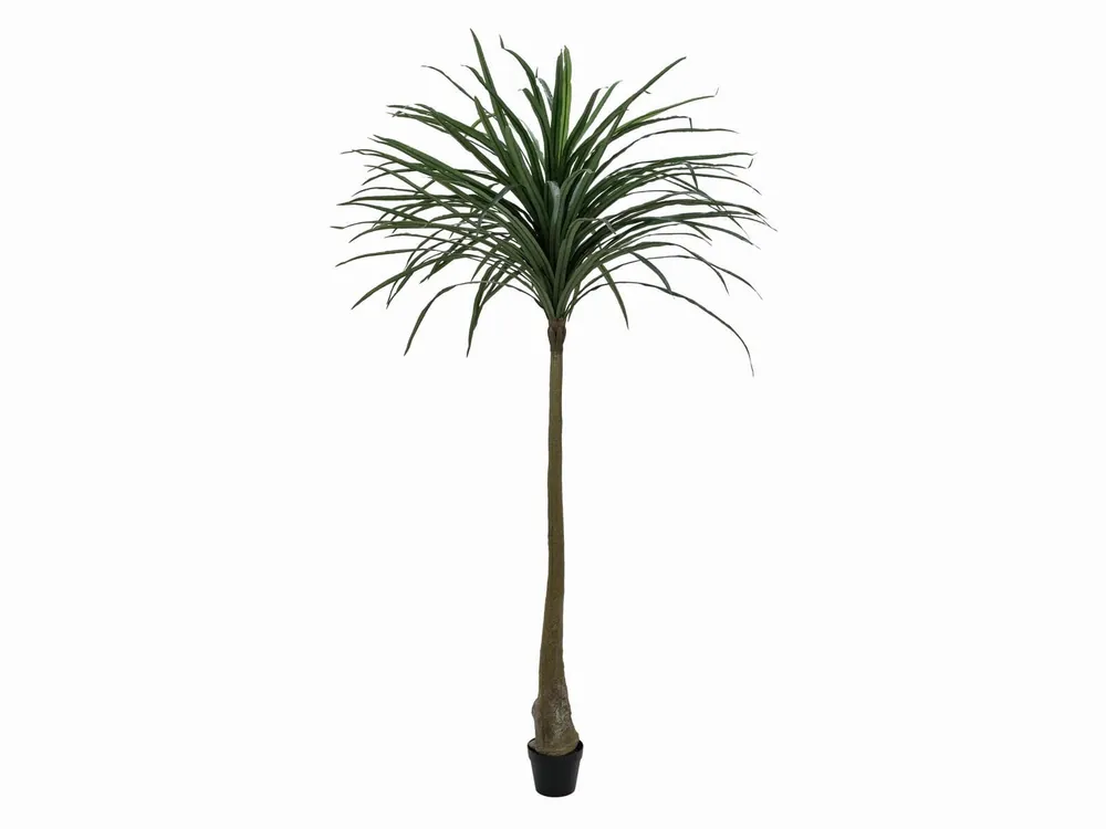 Markenware EUROPALMS Dracena, künstlich, grün, 220cm