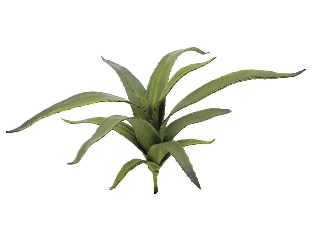 Aktuell Europalms Aloe (EVA), grün, 66cm - Kunstpflanze