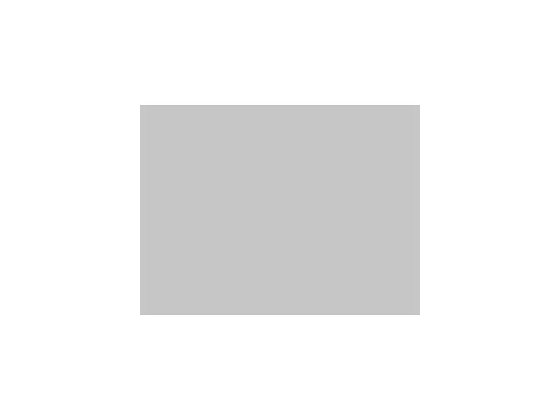 Aktuell LEE-Filters, Nr. 209, Bogen 25x122cm,.3 Neutral Density