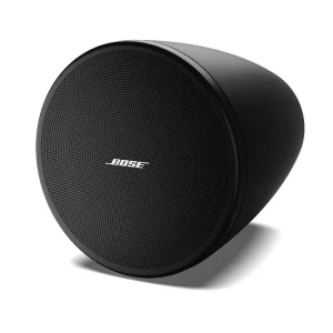 Bose DESIGNMAX DM3P Paarweise - schwarz Sofort Bestellen