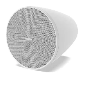 Bose DESIGNMAX DM5P Paarweise - weiß Kostenloser Versand