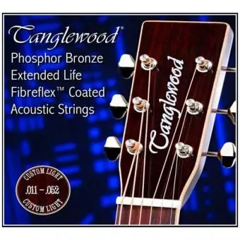 Tanglewood TWGS11 Acoustic Strings Coated Online Kaufen