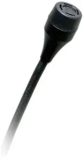 AKG C417L Lavalier Mikrofon Aktuell