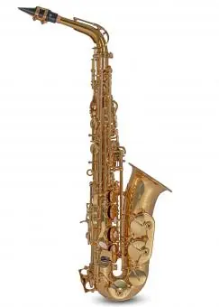 Roy Benson AS-302 Eb-Alt Saxophon Nur Für Kurze Zeit