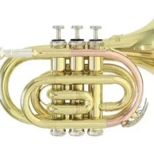 Markenware Roy Benson PT-101 Bb-Taschentrompete Messing lackiert