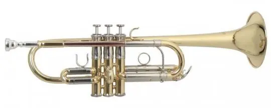Roy Benson TR-402C C-Trompete Online Kaufen