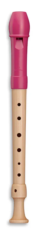 Mollenhauer 17312 Fipple Tere Soprano G SH Schnäppchen